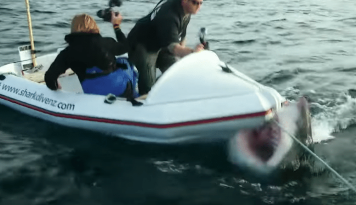 Vid O Un Norme Requin Blanc Attaque Un Petit Bateau Avec Deux Hommes