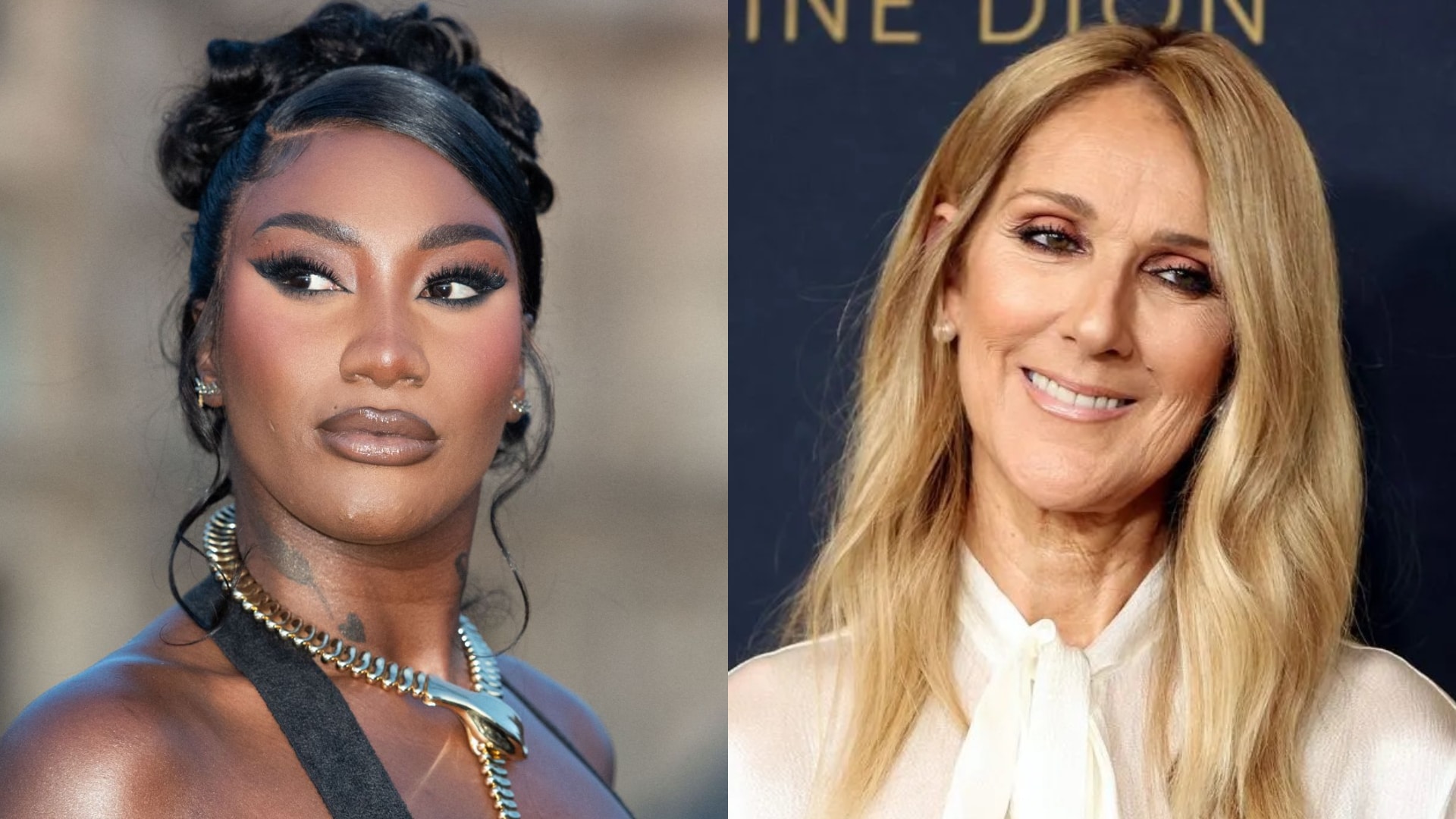 Aya Nakamura, Céline Dion : le programme de la cérémonie d’ouverture des JO se précise