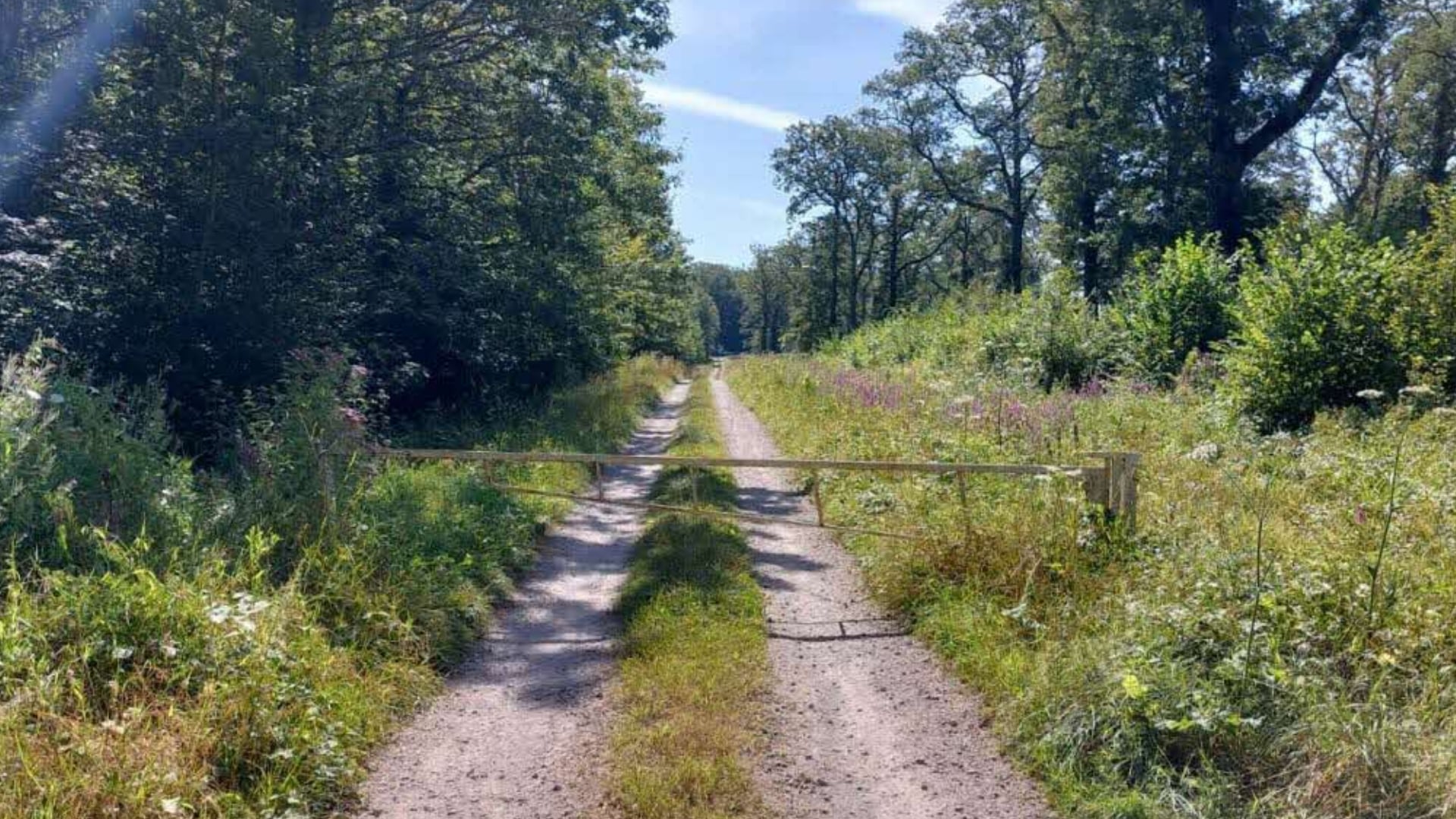 Disparition de Lina, 15 ans : une zone boisée va être ratissée par les enquêteurs