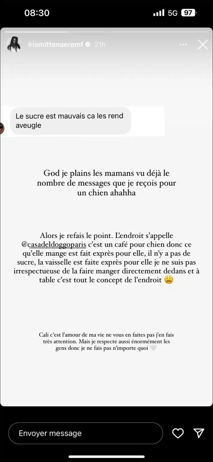 Iris Mittenaere : accusée de maltraitance sur son chiot, elle prend la parole